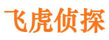 内乡婚外情调查